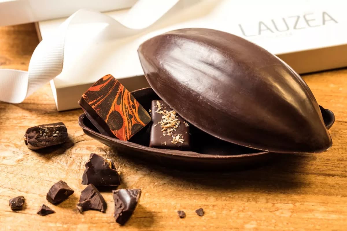 Lauzea cabosse pralinés